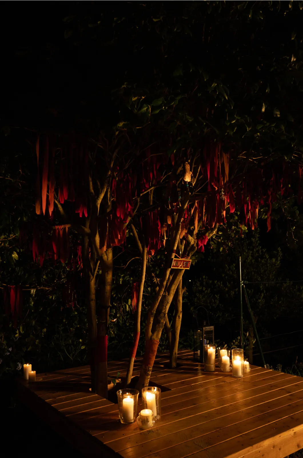 L'Albero dei Desideri illuminato dalle candele in una notte d'estate