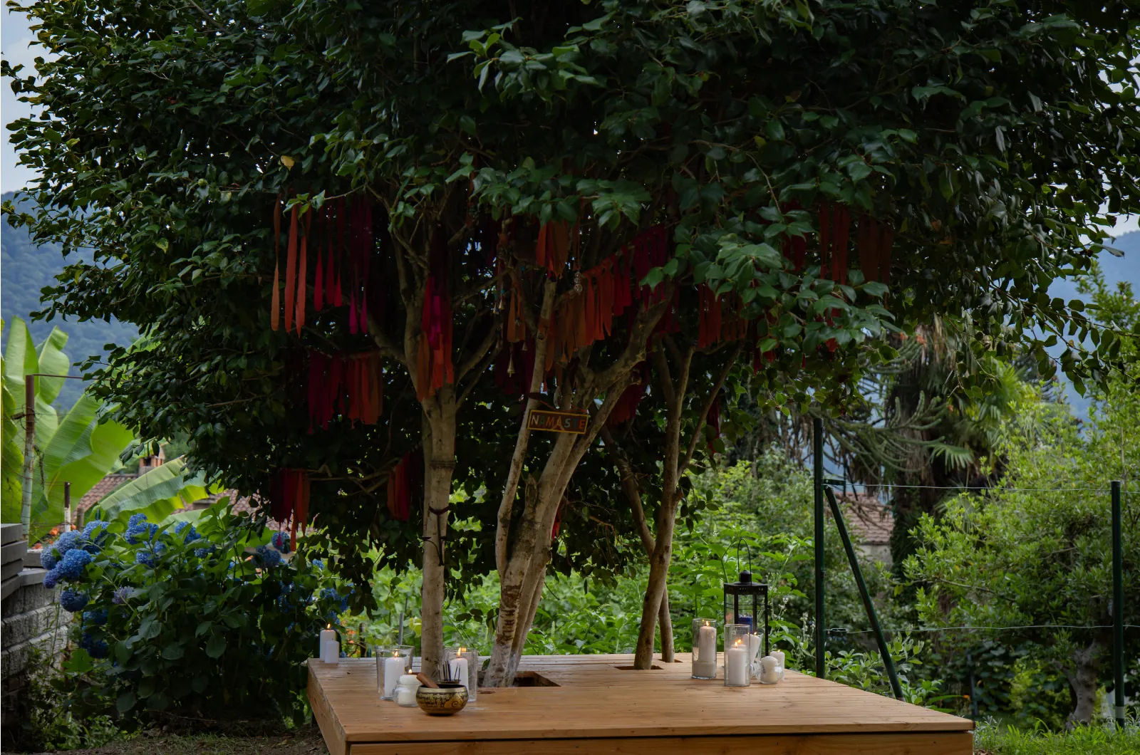 The Wish Tree at Casa Ortensia, a land art installation by Ilaria Ratti Salvioni, with red linen ribbons among the camellias
