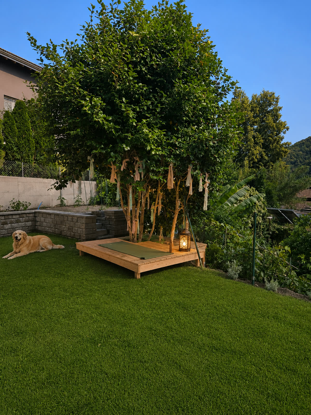 Privater eingezäunter Garten bei Casa Ortensia im Tessin mit Hund